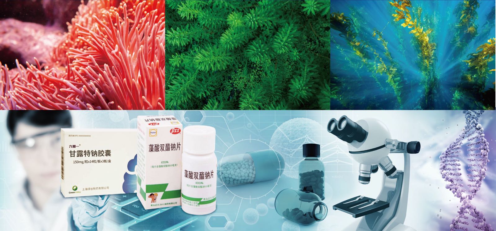 華大海洋樹立企業(yè)擔當大力促進海洋生物醫(yī)藥研發(fā)