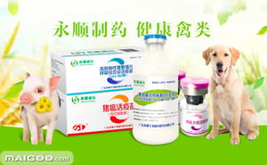 永順疫苗品牌簡(jiǎn)介 永順豬用疫苗 永順禽用疫苗怎么樣 十大品牌網(wǎng)