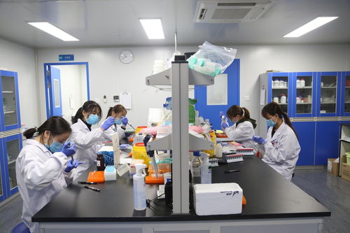 聚焦武漢解碼中部引擎 探訪光谷生物城
