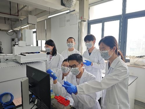 上海大學科研團隊研發(fā)出兩款高活性多肽基敷料 照亮糖尿病足護理之路