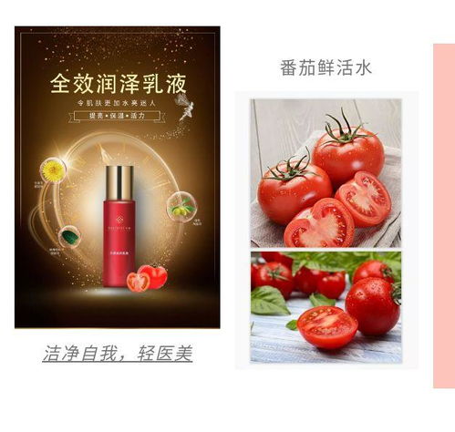 全麗產(chǎn)品最前線 全麗最新研發(fā)成果全新top系列 下篇